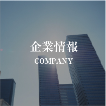 トゥ・ブリッジ企業情報